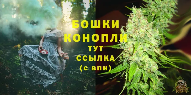 Конопля White Widow  где найти наркотики  Новочеркасск 